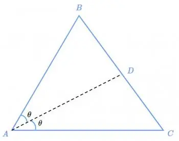 Teorema da bissetriz: divisão de ângulos e segmentos