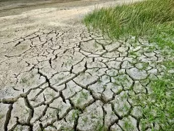 Mudança climática. Causas e consequências