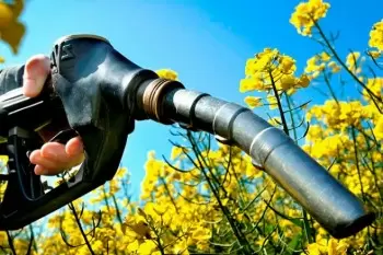 Biocombustíveis como fonte de energia